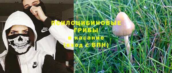 прущие грибы Ладушкин