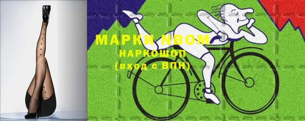 прущие грибы Ладушкин